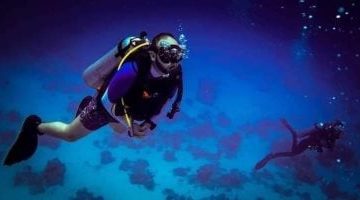 «كنوز الغردقة».. رحلة مصورة إلى أعماق البحر الأحمر تكشف أسرار شعاب مرجانية وغابة بحرية فريدة على عمق 22 مترًا