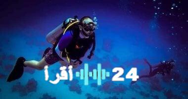 «كنوز الغردقة».. رحلة مصورة إلى أعماق البحر الأحمر تكشف أسرار شعاب مرجانية وغابة بحرية فريدة على عمق 22 مترًا