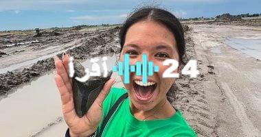 «اكتشاف مذهل!» العثور على سن سمكة ميجالودون ضخمة على شاطئ فلوريدا يثير الدهشة (صور وفيديو)