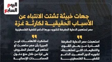 «رفض قاطع للتضليل».. مصر ترد بقوة على حملات تشويه دعمها للقضية الفلسطينية بالإنفوجراف