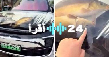 «ابتكار أم إساءة؟» سائق صيني يصدم العالم بغطاء محرك سيارته الشفاف المليء بالكائنات البحرية الحية