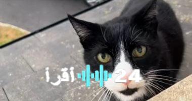 «يا له من لسان!»: مدون بلكنة بريطانية يشعل السوشيال ميديا.. حقيقة أم مجرد تمثيل؟