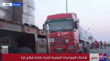 «شريان حياة لغزة».. قوافل مصرية ضخمة تحمل آلاف الأطنان من المساعدات تعبر رفح متجهة إلى كرم أبو سالم