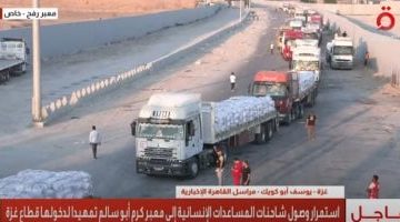 «إنجاز ملحوظ».. الخارجية المصرية تكشف عن دخول 70% من مساعدات غزة عبر معبر رفح
