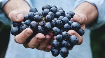 «تحذير صادم» خبيرة طاقة تحذر: الإفراط في تناول العنب يُنذر بتصدع العلاقات الاجتماعية!