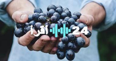 «تحذير صادم» خبيرة طاقة تحذر: الإفراط في تناول العنب يُنذر بتصدع العلاقات الاجتماعية!