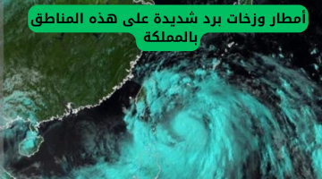 «طقس متقلب» أمطار غزيرة وزخات برد تضرب مناطق واسعة بالمملكة.. الأرصاد تحذر