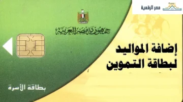 «هام للمواطنين» إضافة المواليد الجدد إلى بطاقات التموين 2025: دليل شامل بالشروط والإجراءات