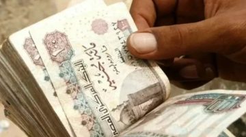 «بشرى سارة للمتقاعدين».. بدء صرف معاشات أغسطس 2025 بزيادة 15% غدًا