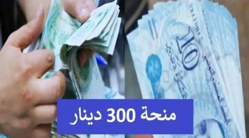 «دعمًا للأسر» منحة 300 دينار تونسية: برنامج اجتماعي يخفف الأعباء في 2025