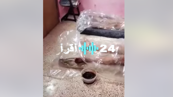 «صدمة ورعب» فيديو يزعم افتراس كلاب ضالة لأفراد عائلة أحياء يثير الهلع في الجزائر