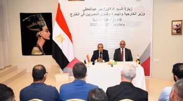 «لقاء مثمر» وزير الخارجية يستمع إلى هموم الجالية المصرية في بوركينا فاسو
