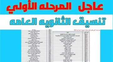 «بوابة الأمل» الجيزة تحدد آليات تنسيق القبول بالثانوي العام والفني 2025 وتفتح مسارات الالتحاق