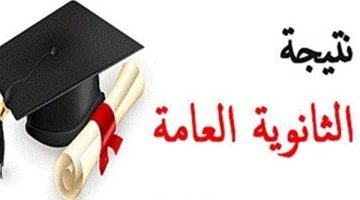 «ترقبوا لحظات الحقيقة».. إعلان نتائج الثانوية العامة 2025 يقترب