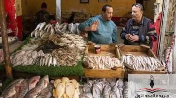 «محدث الآن» أسعار السمك في سوق العبور اليوم الخميس: نظرة على حركة البيع والشراء (24 يوليو 2025)