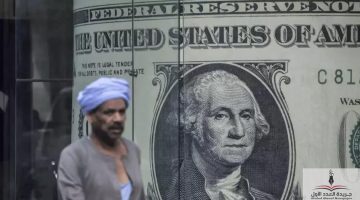 «تذبذب طفيف» سعر الدولار يستهل تعاملات اليوم في البنوك المصرية، الأحد 27 يوليو 2025