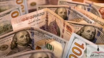 «تراجع ملحوظ» الدولار يتراجع 20 قرشًا في تعاملات اليوم الأحد 27 يوليو 2025