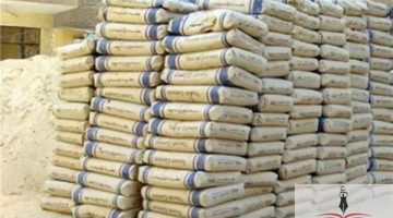 «توازن السوق» استقرار أسعار الأسمنت في مصر وسط قفزة ملحوظة بالإنتاج