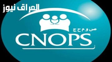 «فرصة لا تعوض!»: كنوبس تفتح أبواب التسجيل في المغرب لعام 2025.. دليلكم الشامل للحصول على الدعم