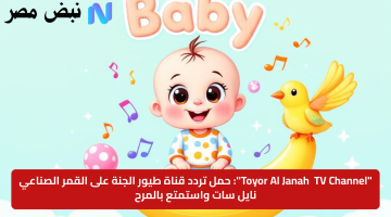 «الآن» تردد قناة طيور الجنة: متعة الطفولة على نايل سات وعرب سات