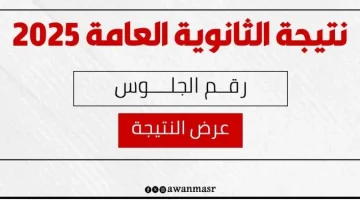 «صدمة وفرحة».. الثانوية العامة 2025: نسبة النجاح في علمي علوم بالنظام الجديد تحصد 79.6%