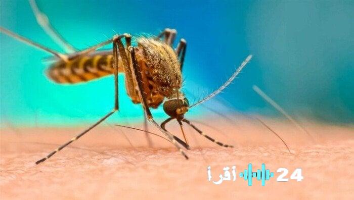 «وباء يهدد الصحة العامة» حمى وآلام مفاصل حادة: تفشّي فيروس شيكونغونيا يثير مخاوف واسعة