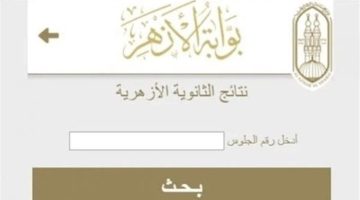 «حصريًا» ظهور نتيجة الثانوية الأزهرية 2025.. الكشف عن أسماء الطلاب الأوائل بقسمي العلمي والأدبي