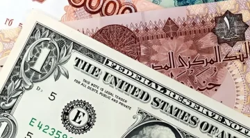 «تراجع الأخضر» خبير اقتصادي يفكك لغز هبوط الدولار المستمر منذ تسعة أشهر