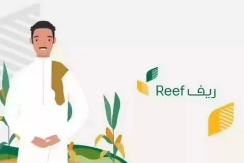 «فرصة لا تعوض» دعم ريف يضيء طريق أصحاب المشاريع الصغيرة نحو التمويل الحكومي وتحقيق الأحلام