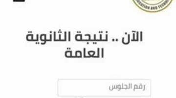 «ترقب وإعلان» وزارة التربية والتعليم تعلن نتيجة الثانوية العامة 2025 مساء اليوم.. ومؤشرات أولية تكشف ارتفاع نسب النجاح