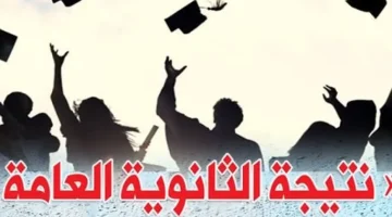 «اعتمدت الآن».. ظهور نتيجة الثانوية العامة 2025: استعلم بالاسم ورقم الجلوس عبر الرابط الرسمي g12.emis.gov.eg