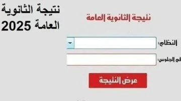 «ترقبوا» العد التنازلي لإعلان نتيجة الثانوية العامة 2025.. خطوات بسيطة للاستعلام برقم الجلوس عبر موقع وزارة التربية والتعليم