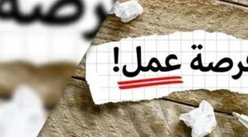 «بشرى سارة للشباب» وزارة العمل تزف آلاف الوظائف الشاغرة برواتب مجزية في كبرى الشركات