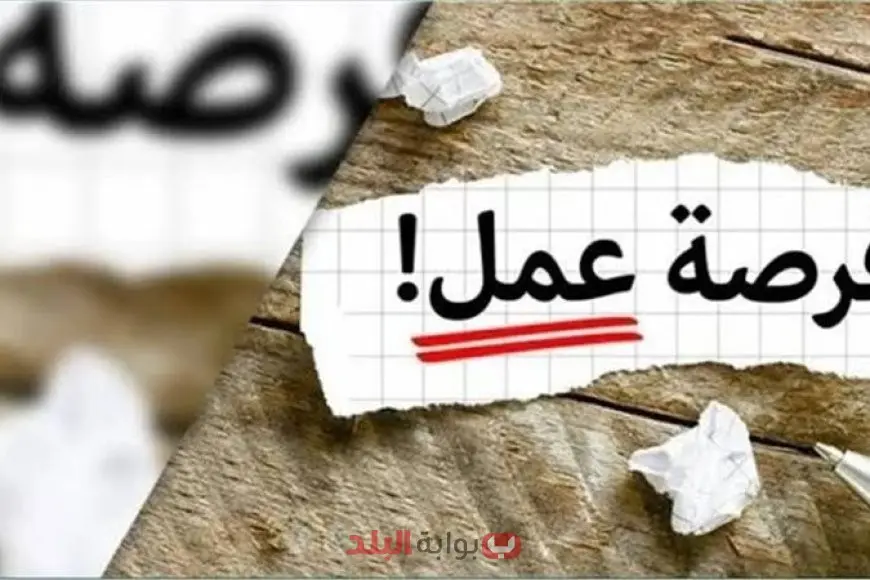 «بشرى سارة للشباب» وزارة العمل تزف آلاف الوظائف الشاغرة برواتب مجزية في كبرى الشركات