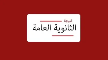 «ترقبوا لحظة الحقيقة» بعد ساعات.. إعلان نتيجة الثانوية العامة 2025 رسميًا ورابط الاستعلام بالرقم القومي متاح