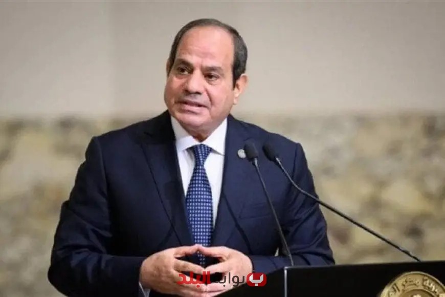 «توطيد العلاقات الثنائية» وزير الخارجية يسلم رسالة رئاسية هامة إلى نيجيريا