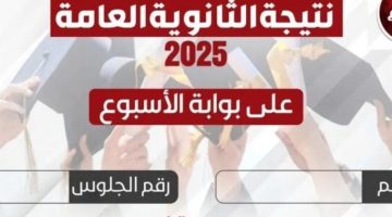 «الآن هنا» رابط مباشر للاستعلام عن نتيجة الثانوية العامة 2025 عبر بوابة البلد برقم الجلوس