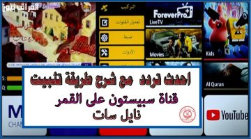 «عودة إلى الطفولة» تردد قناة سبيستون: نافذة على الزمن الجميل لكل الأعمار