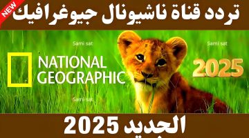 «استقبال بلا تشويش» تردد قناة ناشيونال جيوغرافيك 2025.. متعة المشاهدة الوثائقية عالية الجودة على نايل سات وعرب سات