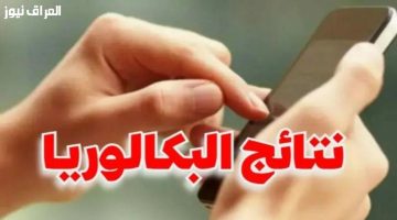 «ترقبوا بفارغ الصبر» إعلان نتائج البكالوريا في تونس 2025: رابط مباشر للاطلاع الفوري