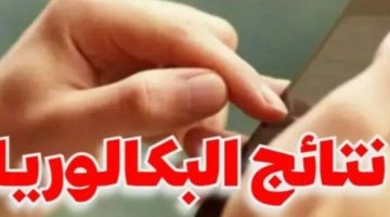 «إعلان رسمي».. موقع الديوان الوطني يكشف النقاب عن رابط نتائج البكالوريا تونس 2025