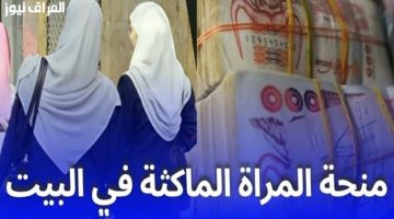 «حلمكِ في التعليم ينتظركِ».. دليل التقديم لمنحة المرأة الماكثة بالبيت في الجزائر 2025
