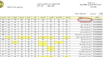 «دقّات قلب تزداد ترقباً».. العراق يترقب إعلان نتائج التمهيدي السادس ابتدائي: هل تبدد مخاوف الطلاب؟