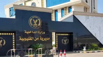 «في قبضة الأمن» تفاصيل مثيرة حول سقوط عصابة شبرا الخيمة: استدراج ضحايا بأكونتات وهمية وسرقة بالإكراه