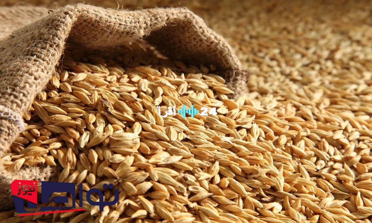 «هدوء في الأسواق» استقرار سعر طن الأرز الشعير في مصر اليوم الأحد