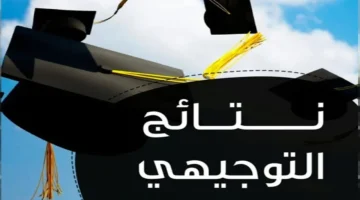 «بأقل جهد ممكن» نتائج التوجيهي 2025 في الأردن: دليلك السريع للاستعلام