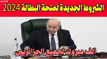 «تجديد إلكتروني سلس»: الجزائر تطلق منصة رقمية لتجديد منحة البطالة 2025 وتعلن خطوات القبول