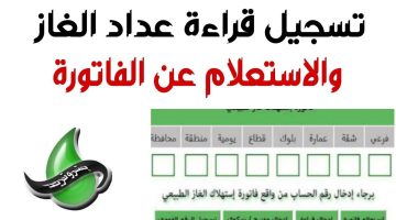 «بتروتريد تُعلن» تسجيل قراءات استهلاك الغاز لشهر يوليو 2025
