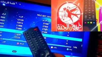 «فرحة لا تنتهي» تردد قناة طيور الجنة الجديد 2025: متعة مضمونة لأطفالك