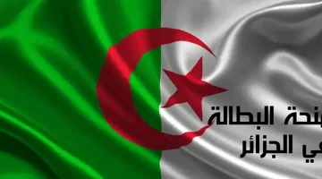«بأثر رجعي» صرف منحة البطالة الجزائرية يوليو 2025: تفاصيل شاملة للمستفيدين تثلج الصدور
